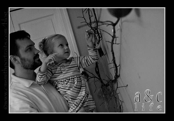 jesseblog-025 jesseblog-025